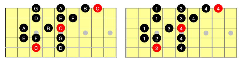 How To Play The Major Scale Guitar Guide For Beginners And Intermediate Guitarhabits